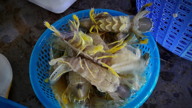 Из Тайланда на мотобайке во Вьетнам, Лаос, Камбоджу. Путешествие во Времени в Город Весны