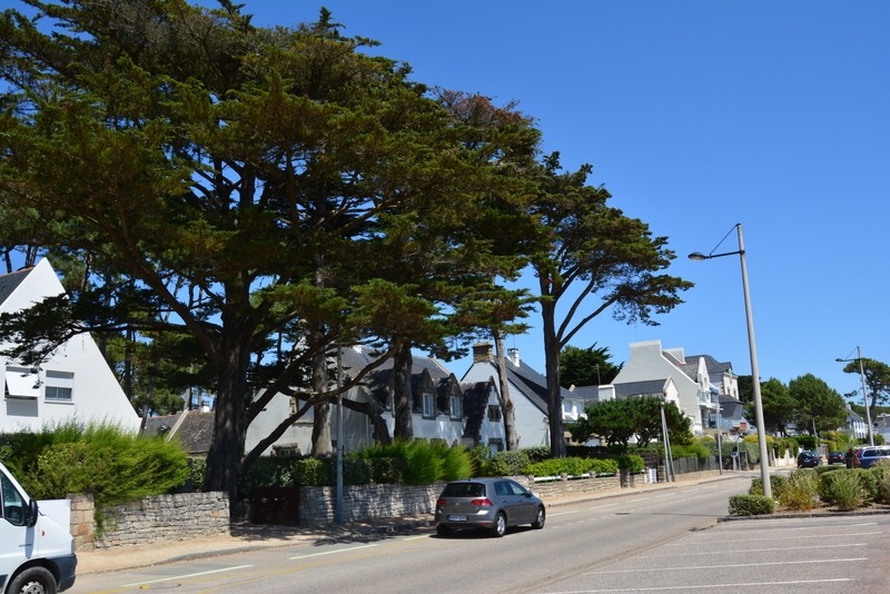 Из Амстердама к замкам Луары по побережью июль 2015 (французская часть).