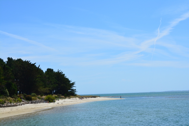 Из Амстердама к замкам Луары по побережью июль 2015 (французская часть).