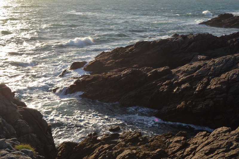 Из Амстердама к замкам Луары по побережью июль 2015 (французская часть).