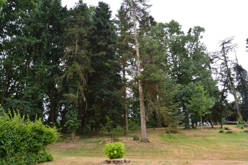 Из Амстердама к замкам Луары по побережью июль 2015 (французская часть).