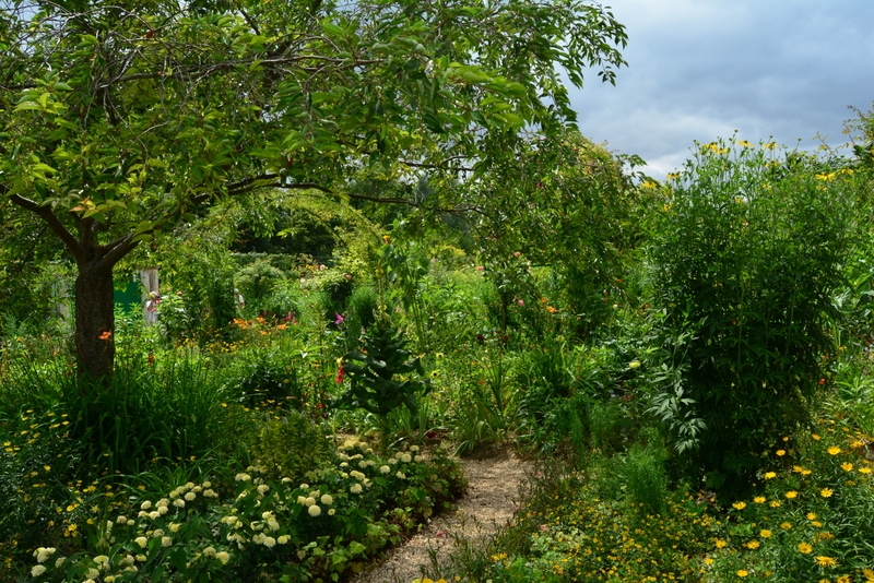 Из Амстердама к замкам Луары по побережью июль 2015 (французская часть).