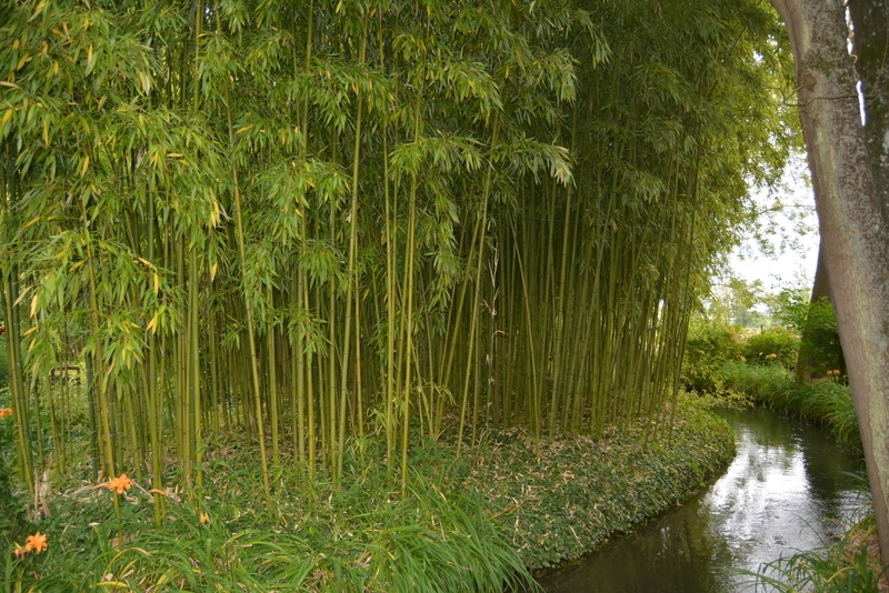 Из Амстердама к замкам Луары по побережью июль 2015 (французская часть).