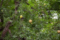 Пекин-Шанхай-Гонконг и окрестности (много фото)