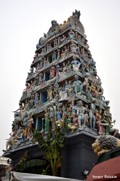 Азиадские штучки Queen-pig, тук-тук и хот-дог по-хайнаньски в круизе Voyager of the Seas