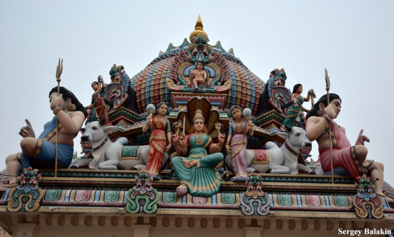 Азиадские штучки Queen-pig, тук-тук и хот-дог по-хайнаньски в круизе Voyager of the Seas