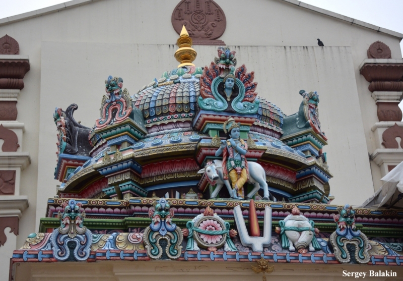 Азиадские штучки Queen-pig, тук-тук и хот-дог по-хайнаньски в круизе Voyager of the Seas