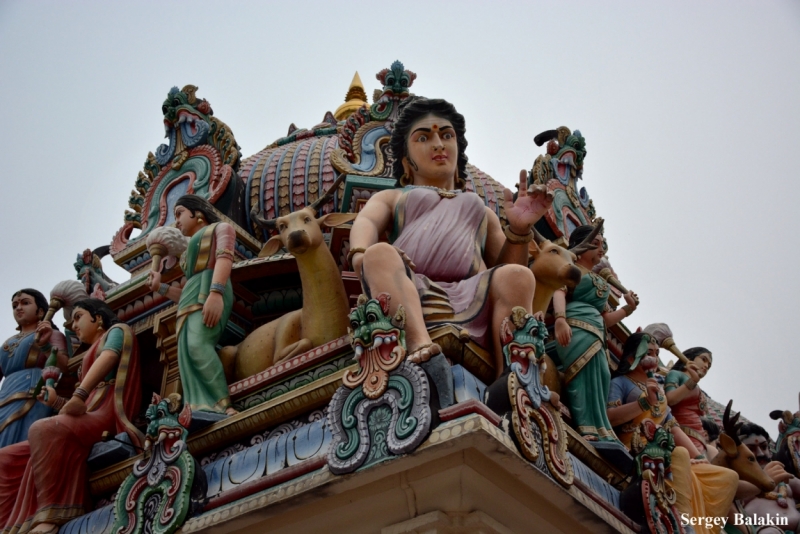 Азиадские штучки Queen-pig, тук-тук и хот-дог по-хайнаньски в круизе Voyager of the Seas