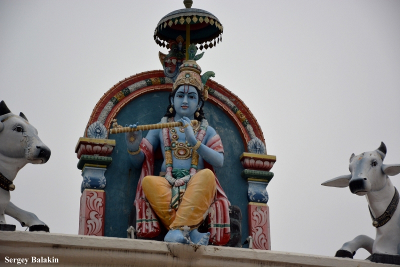 Азиадские штучки Queen-pig, тук-тук и хот-дог по-хайнаньски в круизе Voyager of the Seas