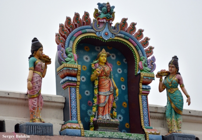 Азиадские штучки Queen-pig, тук-тук и хот-дог по-хайнаньски в круизе Voyager of the Seas