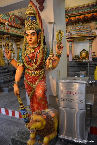 Азиадские штучки Queen-pig, тук-тук и хот-дог по-хайнаньски в круизе Voyager of the Seas