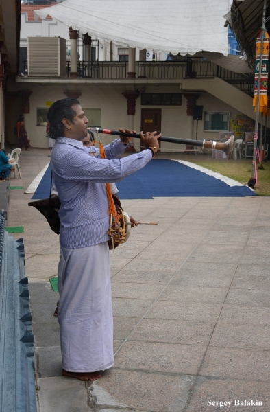 Азиадские штучки Queen-pig, тук-тук и хот-дог по-хайнаньски в круизе Voyager of the Seas