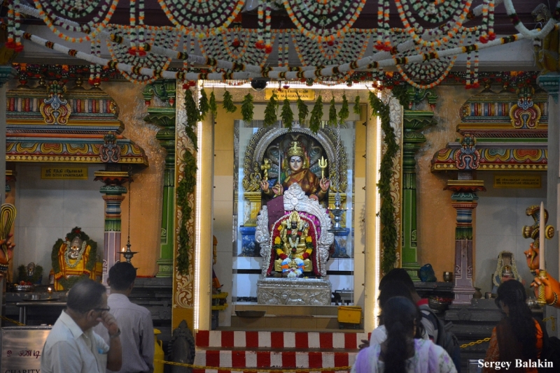 Азиадские штучки Queen-pig, тук-тук и хот-дог по-хайнаньски в круизе Voyager of the Seas