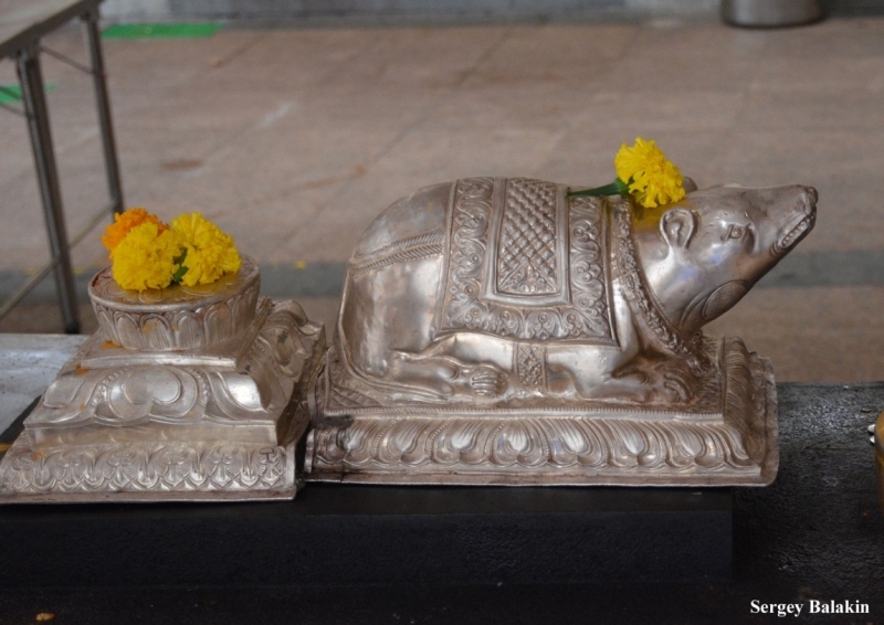 Азиадские штучки Queen-pig, тук-тук и хот-дог по-хайнаньски в круизе Voyager of the Seas