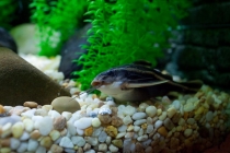 Пекин-Шанхай-Гонконг и окрестности (много фото)