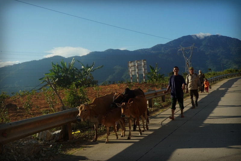 Из Тайланда на мотобайке во Вьетнам, Лаос, Камбоджу. Путешествие во Времени в Город Весны