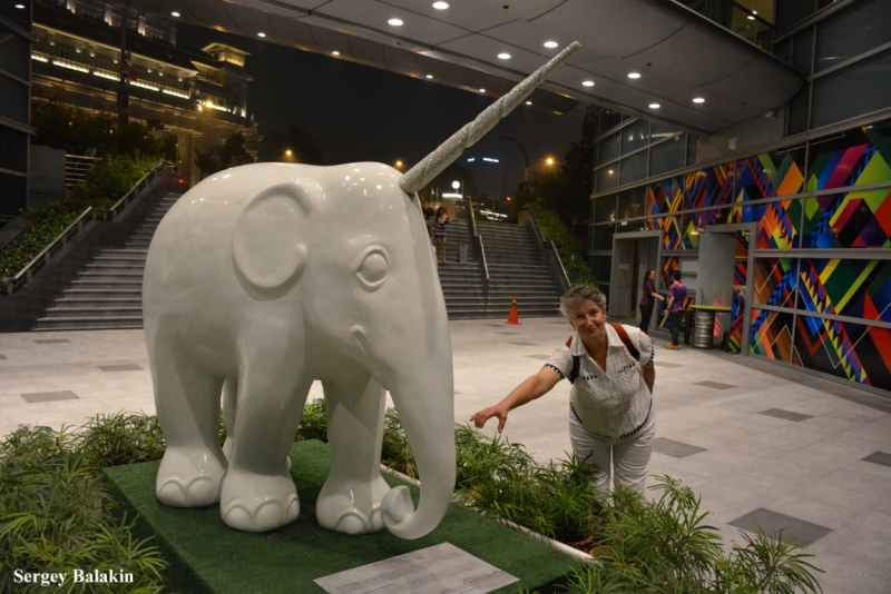 Азиадские штучки Queen-pig, тук-тук и хот-дог по-хайнаньски в круизе Voyager of the Seas