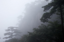 Пекин-Шанхай-Гонконг и окрестности (много фото)