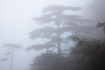 Пекин-Шанхай-Гонконг и окрестности (много фото)