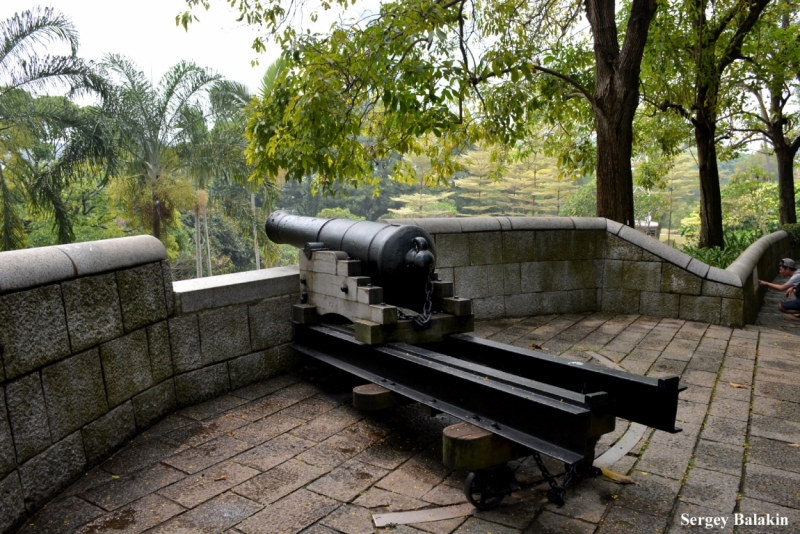 Азиадские штучки Queen-pig, тук-тук и хот-дог по-хайнаньски в круизе Voyager of the Seas