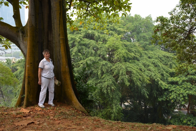 Азиадские штучки Queen-pig, тук-тук и хот-дог по-хайнаньски в круизе Voyager of the Seas