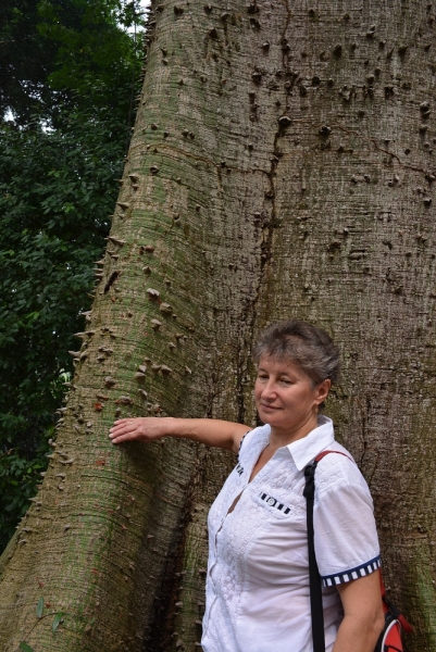 Азиадские штучки Queen-pig, тук-тук и хот-дог по-хайнаньски в круизе Voyager of the Seas