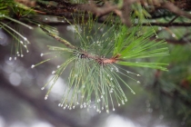 Пекин-Шанхай-Гонконг и окрестности (много фото)