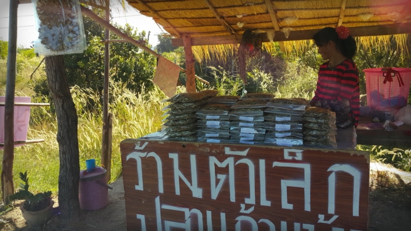 Из Тайланда на мотобайке во Вьетнам, Лаос, Камбоджу. Путешествие во Времени в Город Весны