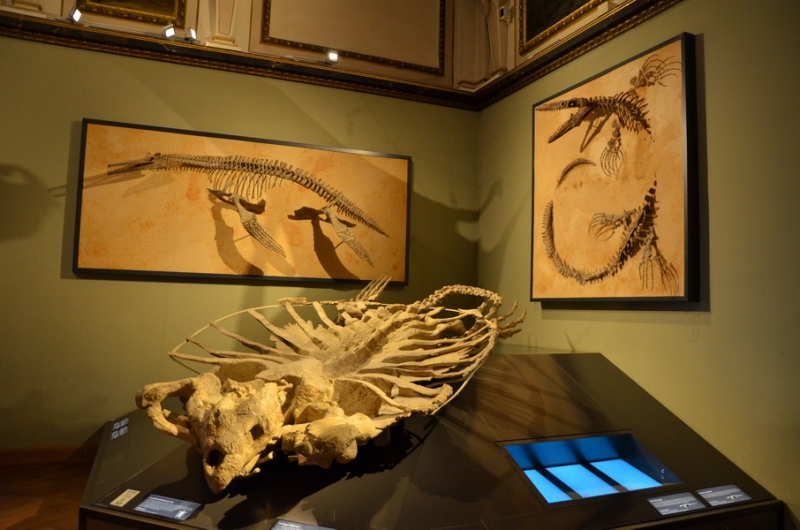 Австрия, Германия, Чехия на авто в Мае 2015 (LEGOland, Нойшванштайн, Термы)