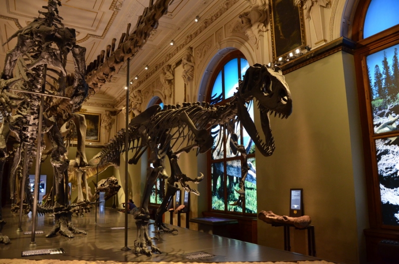 Австрия, Германия, Чехия на авто в Мае 2015 (LEGOland, Нойшванштайн, Термы)