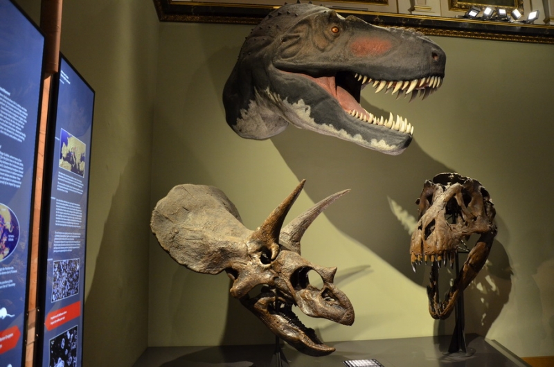 Австрия, Германия, Чехия на авто в Мае 2015 (LEGOland, Нойшванштайн, Термы)