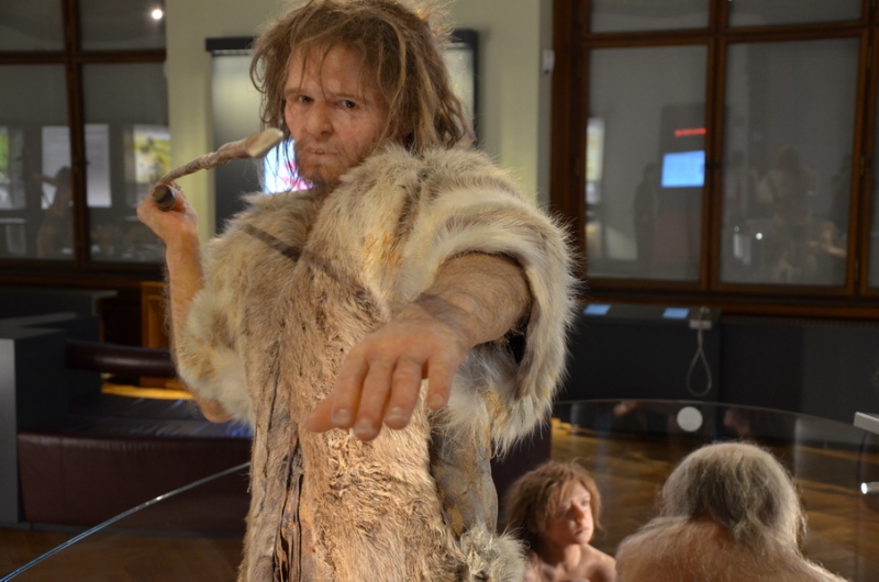 Австрия, Германия, Чехия на авто в Мае 2015 (LEGOland, Нойшванштайн, Термы)