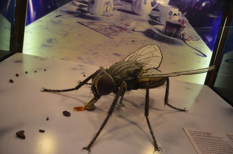 Австрия, Германия, Чехия на авто в Мае 2015 (LEGOland, Нойшванштайн, Термы)