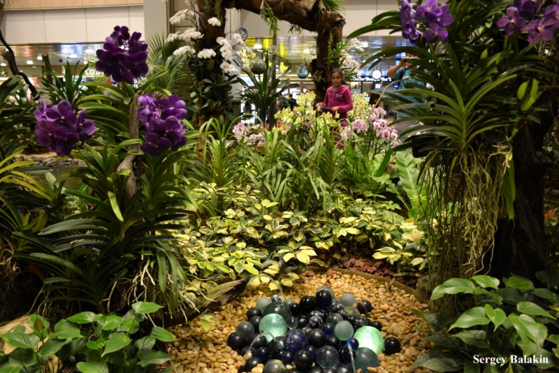 Азиадские штучки Queen-pig, тук-тук и хот-дог по-хайнаньски в круизе Voyager of the Seas