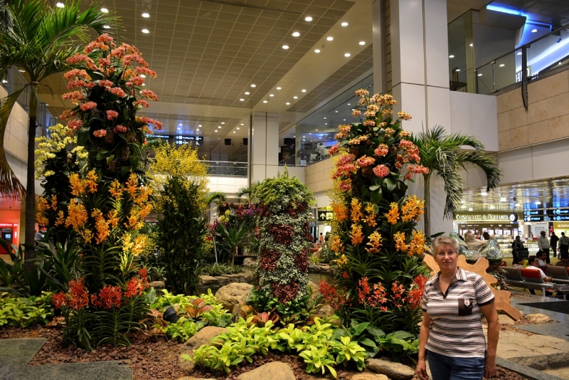 Азиадские штучки Queen-pig, тук-тук и хот-дог по-хайнаньски в круизе Voyager of the Seas