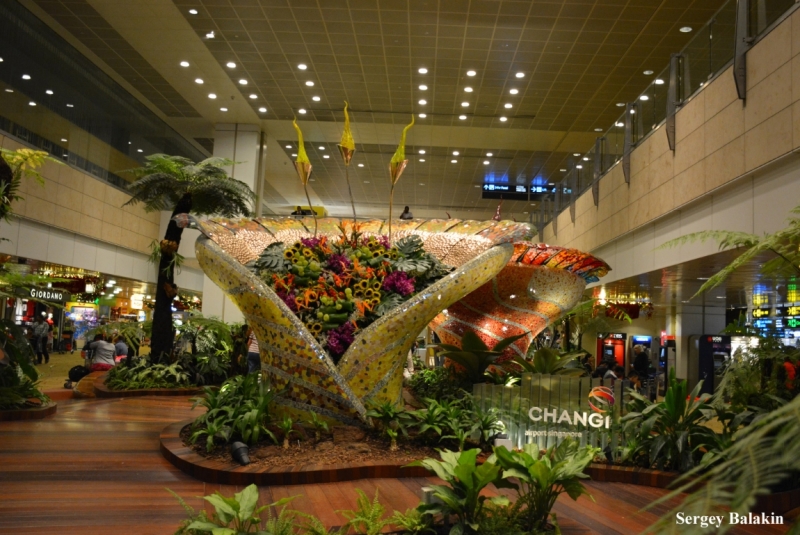 Азиадские штучки Queen-pig, тук-тук и хот-дог по-хайнаньски в круизе Voyager of the Seas