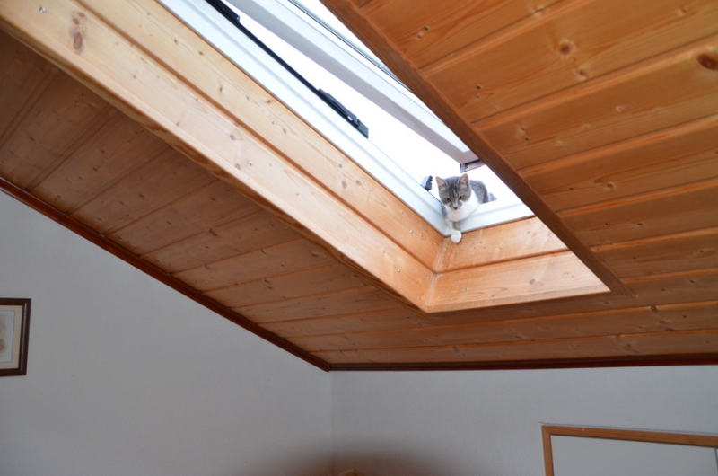 Австрия, Германия, Чехия на авто в Мае 2015 (LEGOland, Нойшванштайн, Термы)