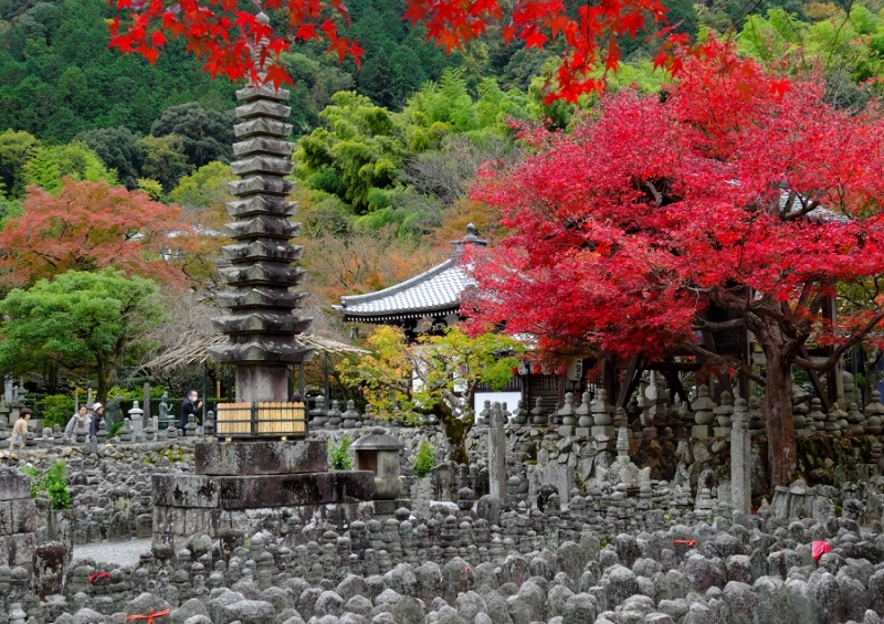 Лучшие достопримечательности Японии в сезон момидзи: Tokyo-Nagoya(Obara,Korankei)-Kyoto-Nara-Osaka