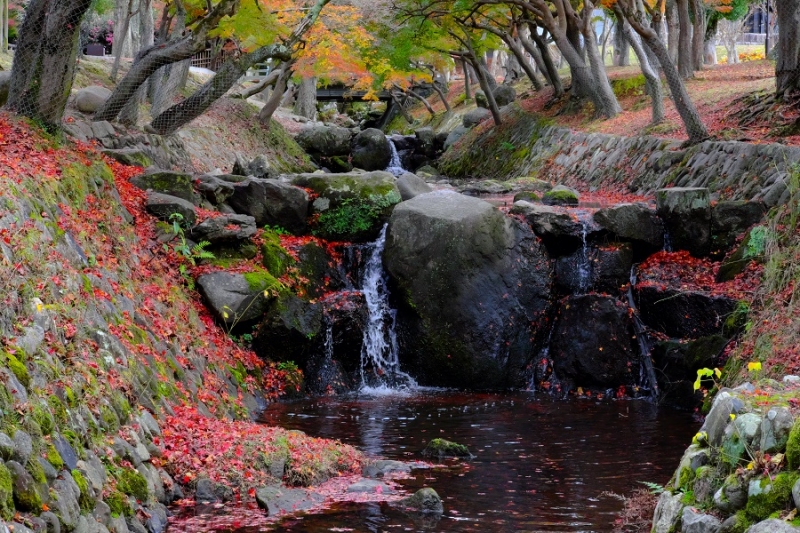 Лучшие достопримечательности Японии в сезон момидзи: Tokyo-Nagoya(Obara,Korankei)-Kyoto-Nara-Osaka