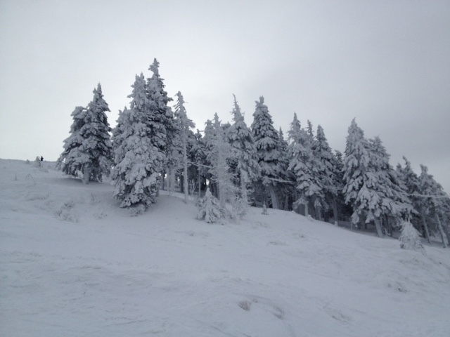 Зима в Европе с лыжами