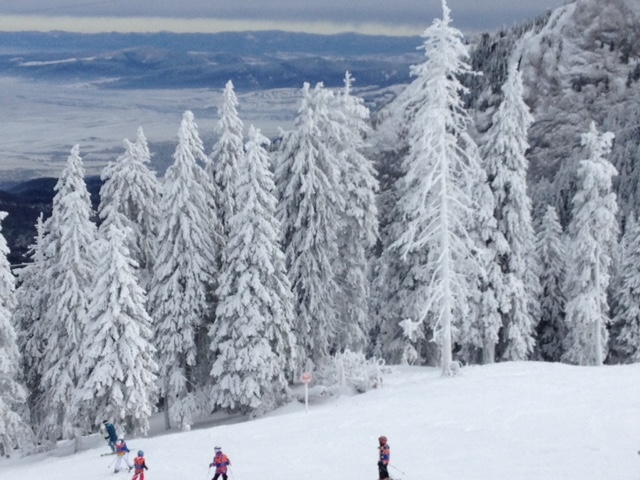 Зима в Европе с лыжами