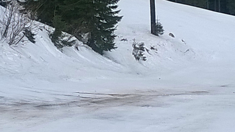 Зима в Европе с лыжами