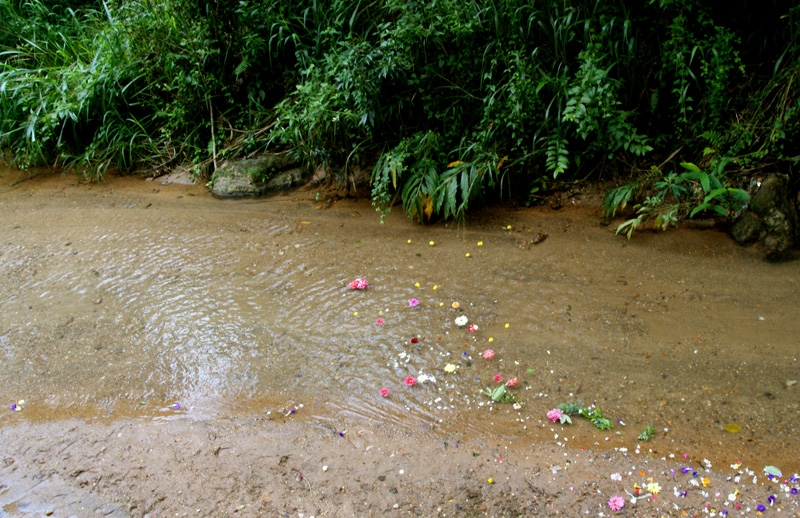 Улыбнись тому, кто сидит в пруду! Самостоятельно 21 день на машине по Шри-Ланке