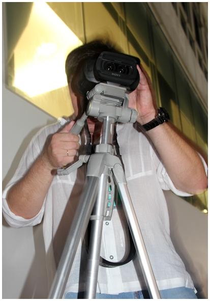 Двенадцать дней осени в городе вечного лета