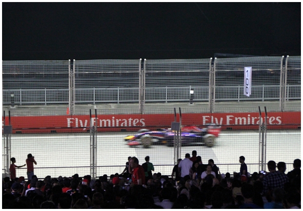 Двенадцать дней осени в городе вечного лета