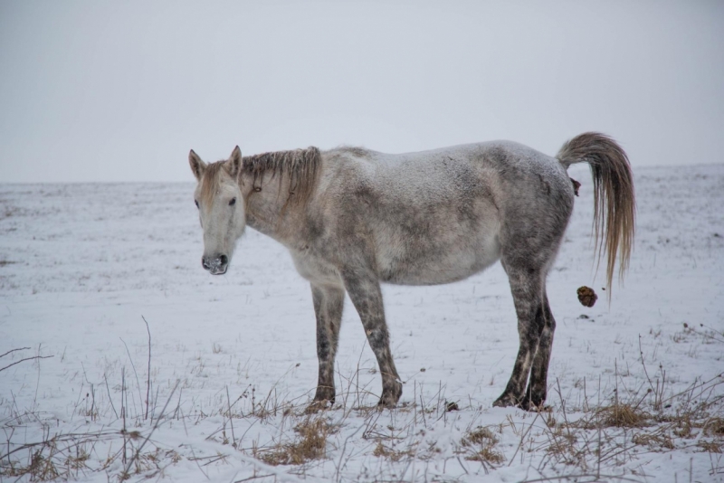 Кавказские минеральные воды