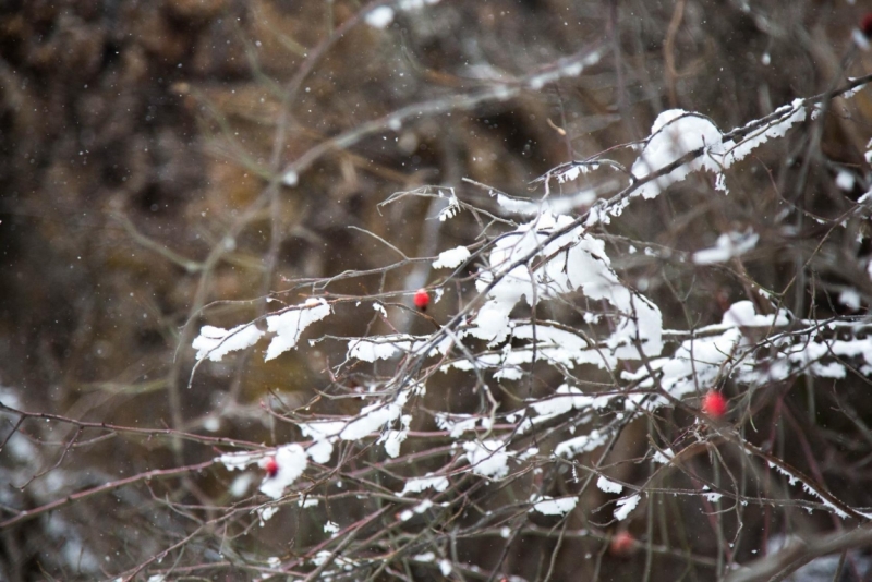 Кавказские минеральные воды