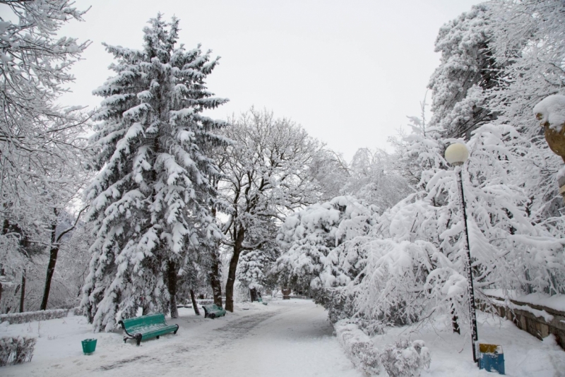 Кавказские минеральные воды
