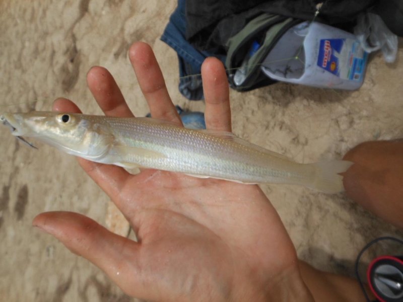 Рыбалка в Таиланде