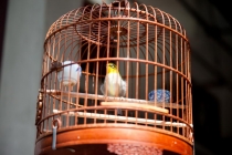 Пекин-Шанхай-Гонконг и окрестности (много фото)